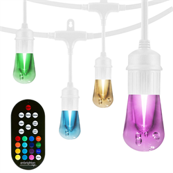 lights enbrighten seasons led cafe bulbs 24ft cord acrylic